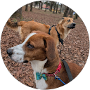 Hannah J. profile picture